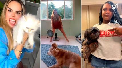 Trend no TikTok zoa Trump por fala sobre imigrantes comendo pets Trend no TikTok zoa Trump por fala sobre imigrantes comendo pets