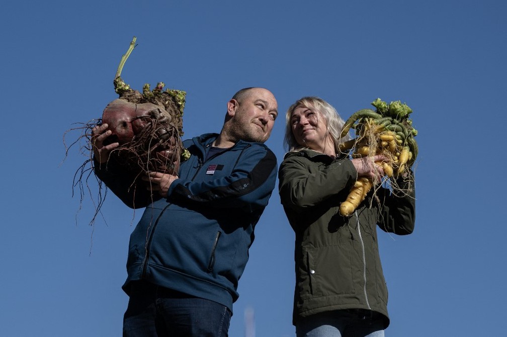 Chris Marriot com betteraba de 18.8kg e sua parceira, Agata Soltysiak, com cenoura de 7.85kg — Foto: Oli SCARFF / AFP