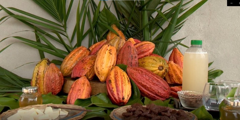 Do cacau da Fazenda Esperança, em Linhares, é feito mel, cocada, geleia e amêndoas. — Foto: Célio Ferreira | TV Gazeta