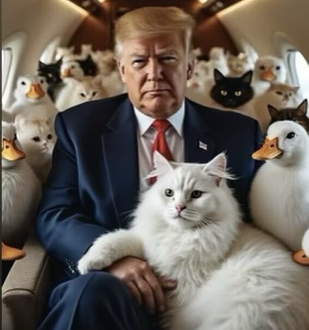 Montagem publicada em rede social de Donald Trump com ex-presidente cercado por gatos e gansos foi publicada minutos antes do debate presidencial, em 10 de setembro de 2024. — Foto: Reprodução/ Redes sociais