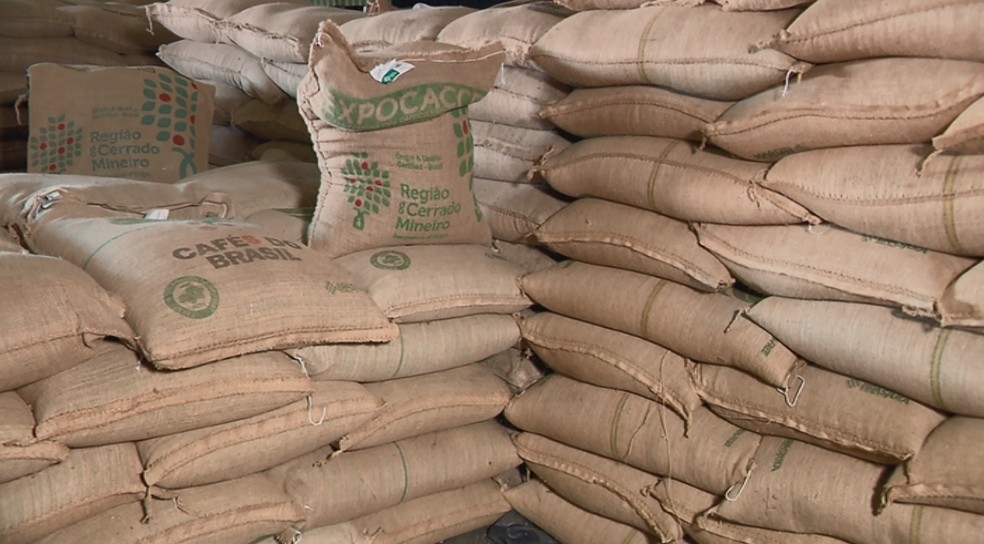 Brasil registra recorde de exportação de café em outubro, com mais de 4,9 milhões de sacas, aponta Cecafé — Foto: Reprodução EPTV