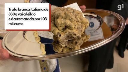 Fungo apreciado por chefs, trufa branca de 830g é leiloada por 103 mil euros Fungo apreciado por chefs, trufa branca de 830g é leiloada por 103 mil euros
