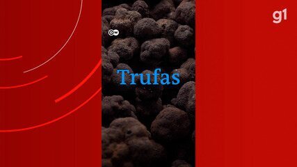 Trufa: o ouro branco italiano Trufa: o ouro branco italiano