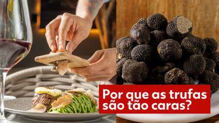 Por que as trufas são tão caras? Por que as trufas são tão caras?