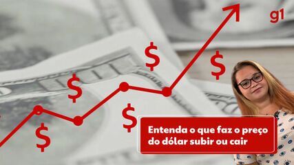 Entenda o que faz o preço do dólar subir ou cair Entenda o que faz o preço do dólar subir ou cair