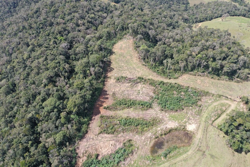 Em 12 anos, apenas 3% das análises do Cadastro Ambiental Rural foram concluídas — Foto: PMA/Divulgação