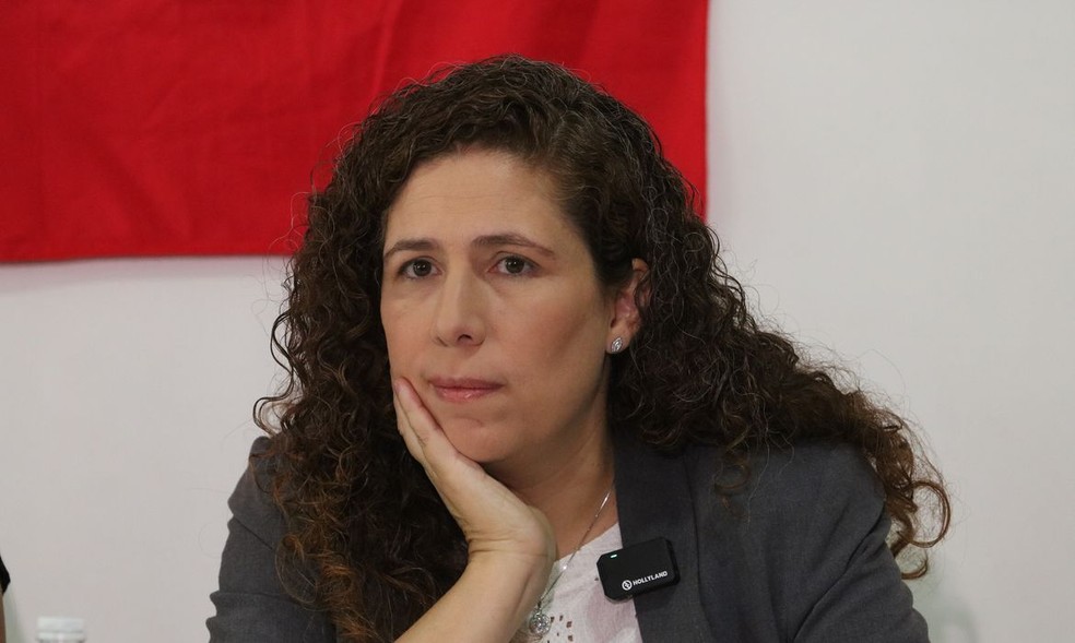 Ministra da Gestão e da Inovação em Serviços Públicos, Esther Dweck — Foto: Rovena Rosa/Agência Brasil