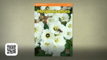 Criação de abelhas sem ferrão Criação de abelhas sem ferrão