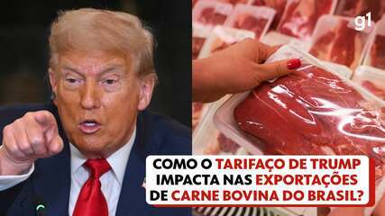 Como o tarifaço de Trump impacta nas exportações de carne bovina do Brasil? Como o tarifaço de Trump impacta nas exportações de carne bovina do Brasil?