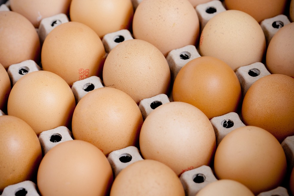 Ovo — Foto: Unsplash / Mads Eneqvist
