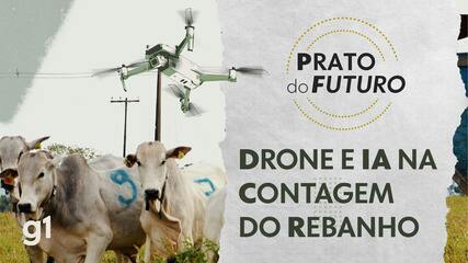 Contagem de gado com IA e drone: conheça tecnologia que minimiza perda de bois