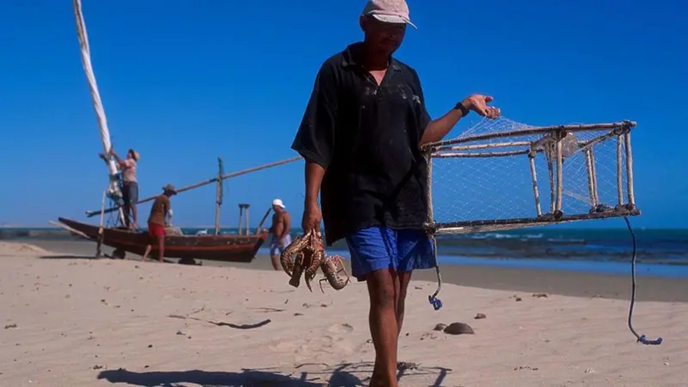 Pesca artesanal da lagosta, com barcos muito simples, também é exportada — Foto: Getty images