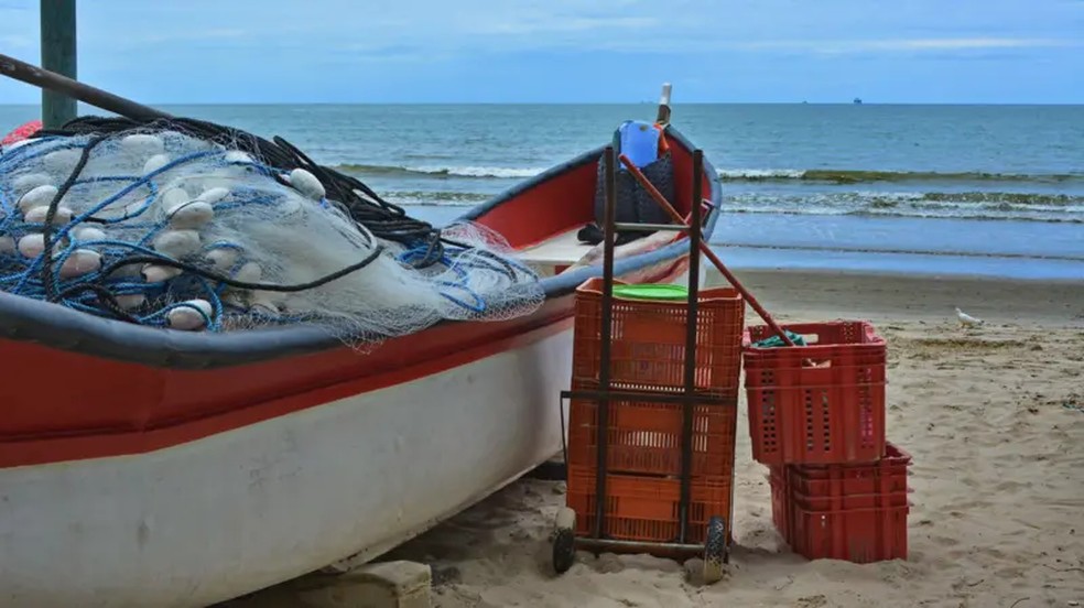 Apesar de vasto, litoral do Brasil não tem peixes em abundância — Foto: Getty images