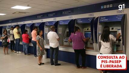 Consulta ao abono salarial PIS-Pasep 2024 é liberada Consulta ao abono salarial PIS-Pasep 2024 é liberada