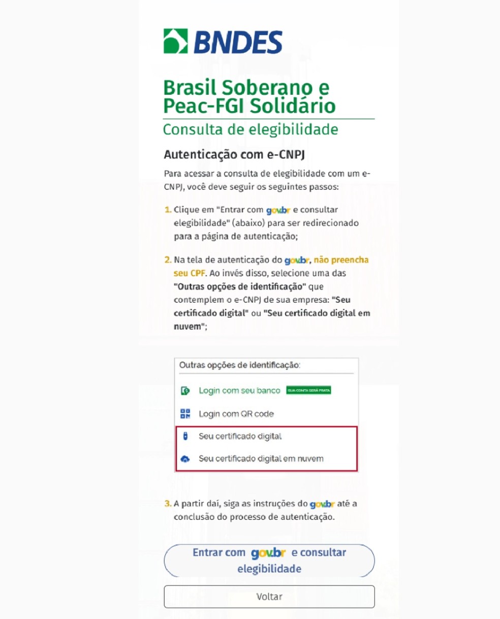 Passo a passo para empresas atingidas por tarifaço pedirem crédito. — Foto: BNDES/Reprodução