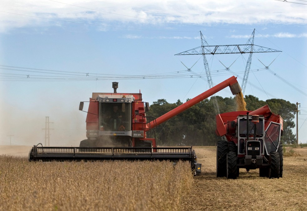 Agricultores colhem soja — Foto: REUTERS/Enrique Marcarian