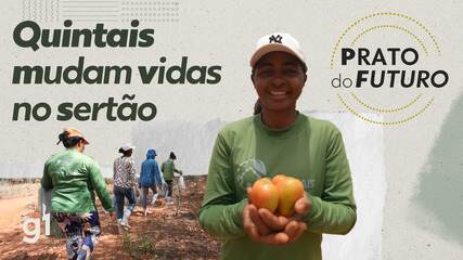 Prato do Futuro: Quintais mudam vidas no sertão