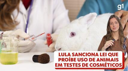 Lula sanciona lei que proíbe uso de animais em testes de cosméticos