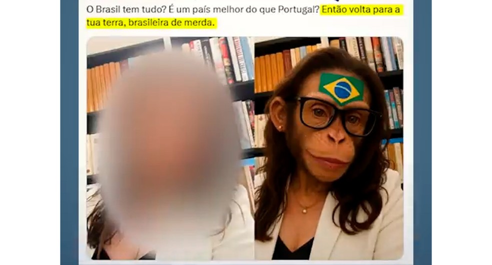Brasileira retratada como macaca e a legenda: 'Volta para tua terra" — Foto: Reprodução/ Redes sociais