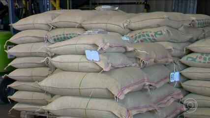 Com queda nas exportações para os EUA, produtores de café do Brasil buscam novos mercados Com queda nas exportações para os EUA, produtores de café do Brasil buscam novos mercados