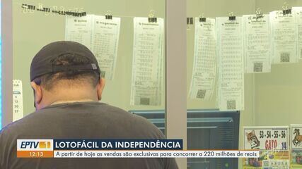 Vendas para a Lotofácil da Independência começam nesta quarta-feira (27) Vendas para a Lotofácil da Independência começam nesta quarta-feira (27)
