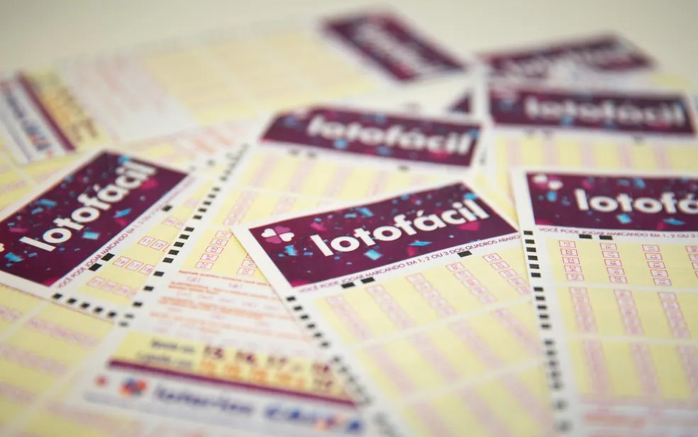 Bilhete volante loteria lotofácil loto fácil versão 2018 — Foto: Marcelo Brandt/G1