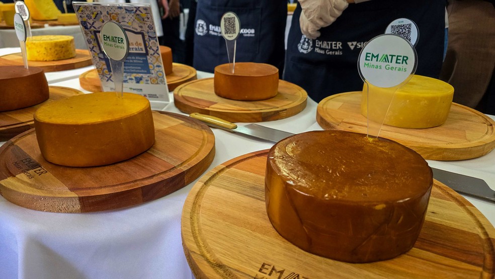 Concurso da Emater elege os melhores queijos artesanais de Minas Gerais — Foto: Governo de Minas Gerais/Divulgação