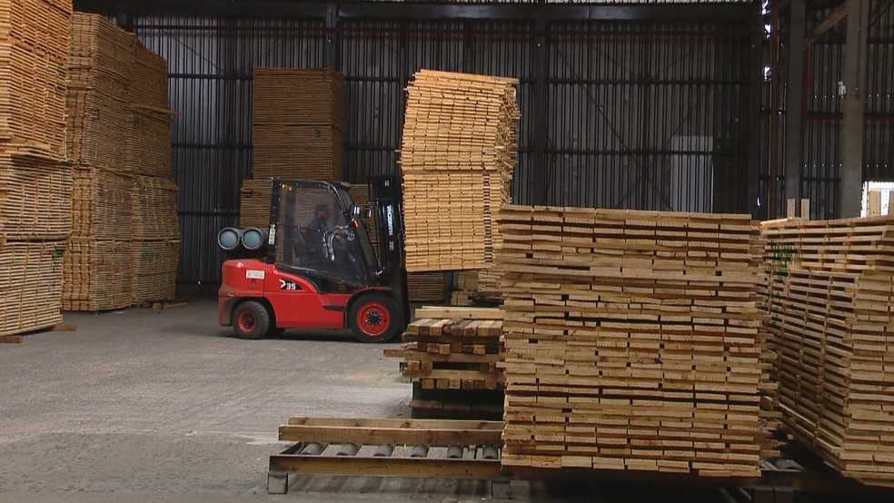 Indústria madeireira no Rio Grande do Sul — Foto: Reprodução/ RBS TV