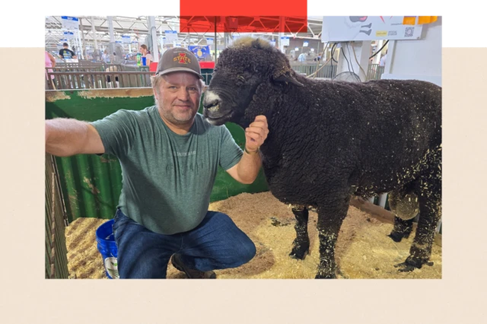 John Wilson, ao lado de Judah, o Grande Carneiro, na Feira Estadual de Iowa. Muitas das conversas durante o evento giraram em torno de Trump e suas tarifas — Foto: BBC