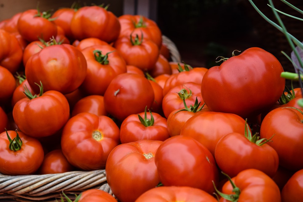 Tomate — Foto: Josephine Baran / Unsplash