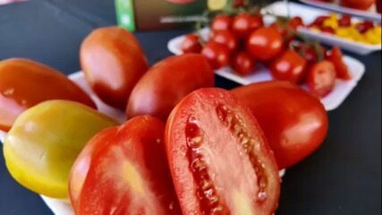 Você sabia que o tomate é uma hortaliça-fruto?