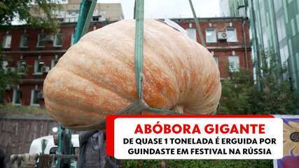 Abóbora gigante de quase 1 tonelada é erguida por guindaste em festival na Rússia