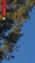 Avião de pequeno porte despenca do céu nos EUA, 3 ocupantes morrem