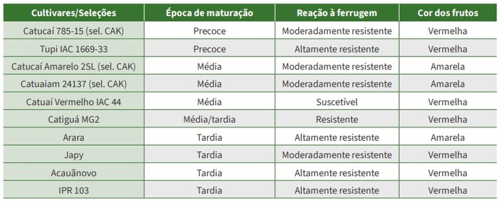 Café arábica: cultivares validadas para o Espírito Santo — Foto: Reprodução/Incaper