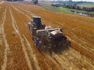Estiagem atrapalha início do plantio da soja em SP