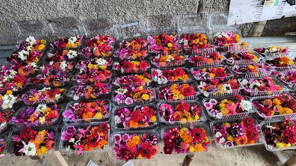 Bandejas de flores comestíveis cultivadas no Espírito Santo das espécies cravinas, brinco de princesa, verbenas, boca de leão, tarjet e sino chinês — Foto: Eliana Brum Magalhães