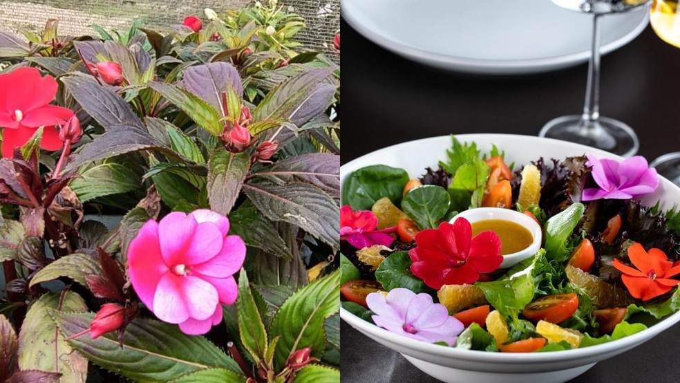 Flores comestíveis de produtora do Espírito Santo compõem os mais variados tipos de pratos — Foto: Reprodução