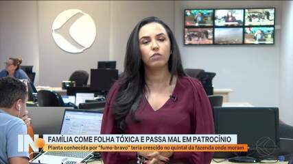 Família passa mal após consumir planta tóxica em Patrocínio