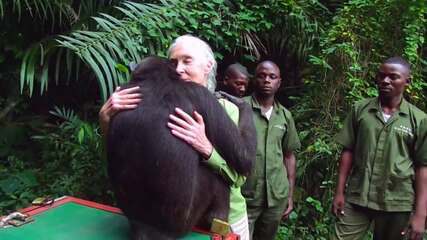 Jane Goodall faz sua primeira imersão na Amazônia: 'Fiquei profundamente chocada'