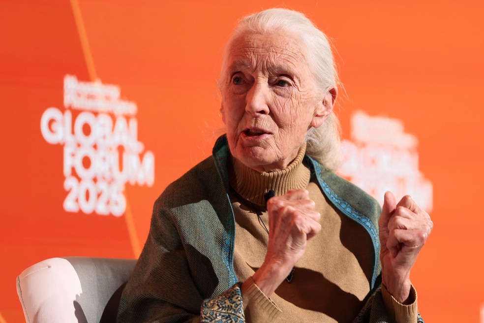 Jane Goodall era um dos nomes mais respeitados do mundo na defesa do meio ambiente. — Foto: Reuters/Caitlin Ochs