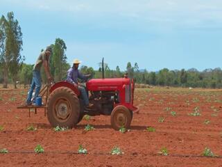 Oeste Paulista concentra centenas de assentamentos rurais