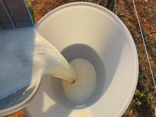 Os desafios dos pequenos produtores de leite para aumentar a lucratividade