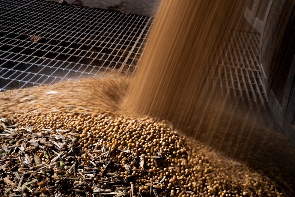 Soja — Foto: ROBERTO SCHMIDT / AFP