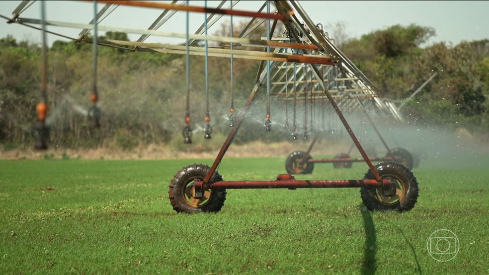 Série especial do JN mostra como o agronegócio brasileiro está enfrentando as mudanças climáticas — Foto: Jornal Nacional/ Reprodução