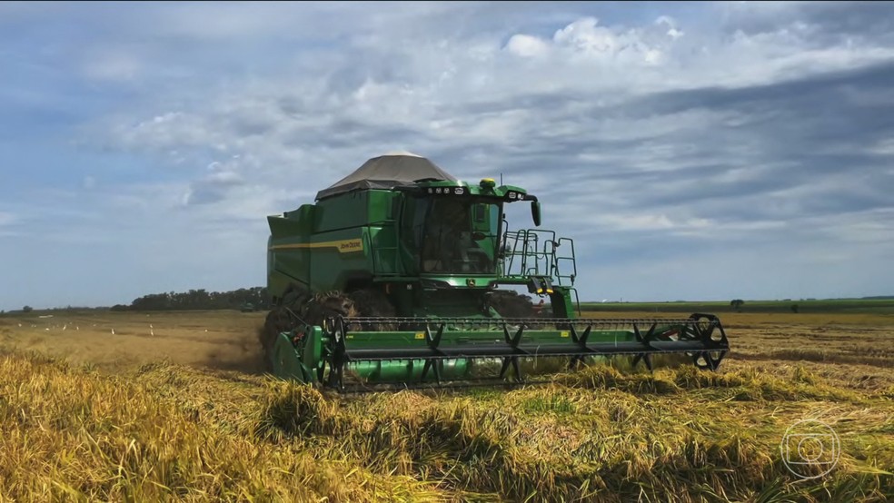 Série especial do JN mostra como o agronegócio brasileiro está enfrentando as mudanças climáticas — Foto: Jornal Nacional/ Reprodução
