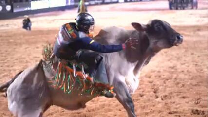 Melhoramento genético com inseminação artificial e fertilização in vitro: o mercado de touros de rodeio no Brasil