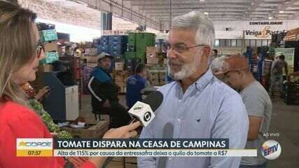 Preço do tomate dispara e tem aumento de 115%