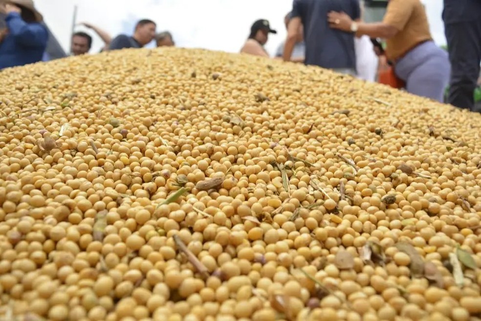 Medida regulariza a produção em larga escala de soja no estado — Foto: Maksuel Martins/GEA