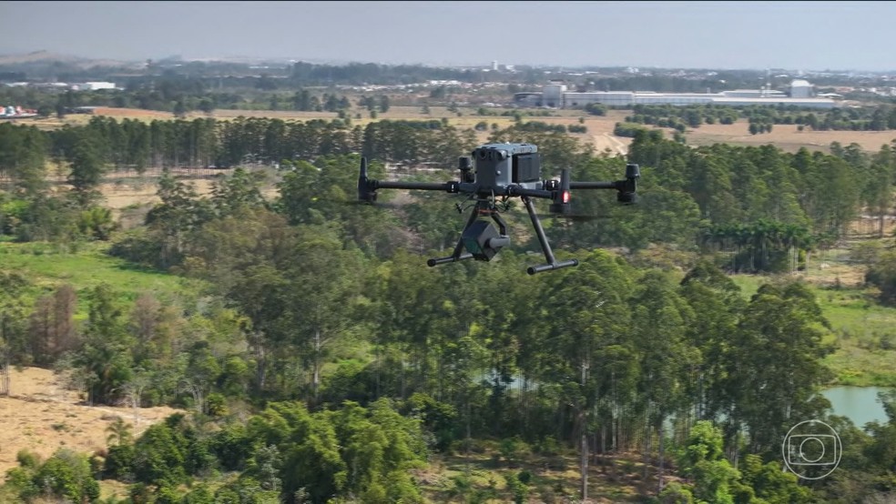Veja como as agroflorestas se tornaram um modelo eficiente na produção de cacau — Foto: Jornal Nacional/ Reprodução