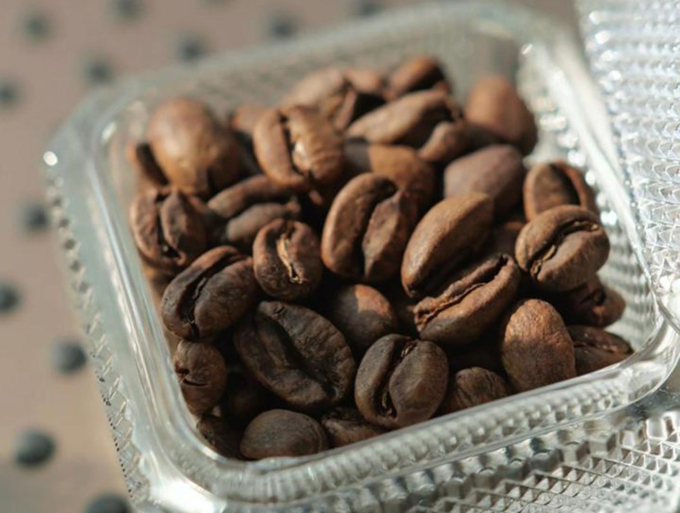 Grão usado para fazer a xícara de café mais cara já vendida — Foto: Divulgação/Roasters Specialty Coffee